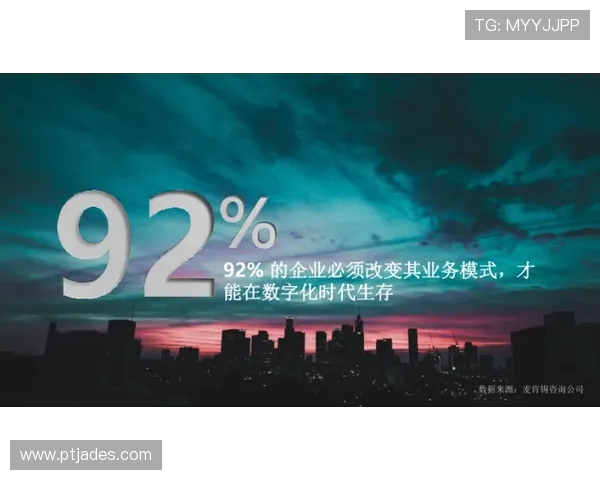 武汉极限运动队的转型之路与挑战分析及未来展望